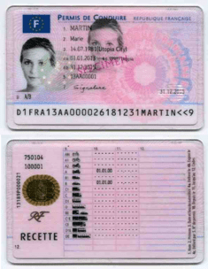 fake french driving licence