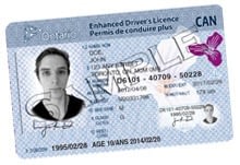 Get license to drive in Canada