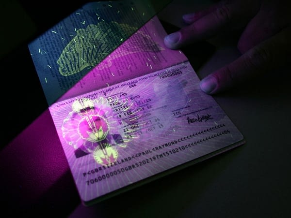 possible to apply for fake visa and passport online